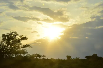 DSC_5402 (Large).JPG